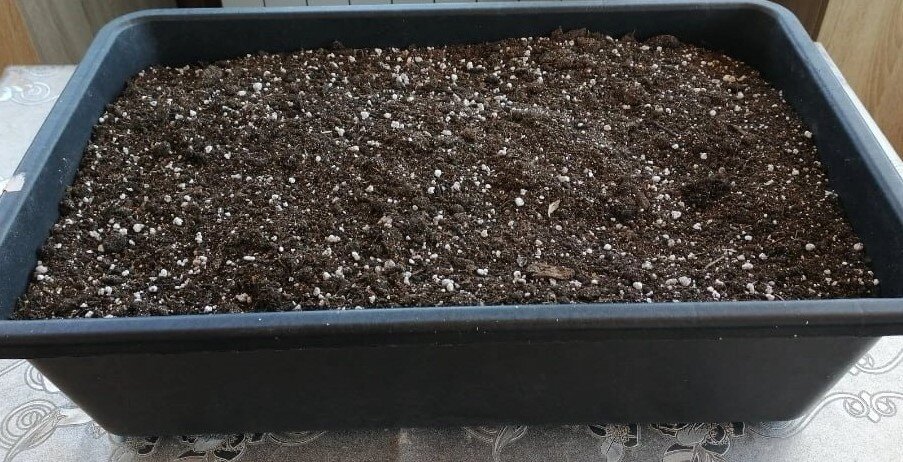 Готовый  грунт для пеларгонии