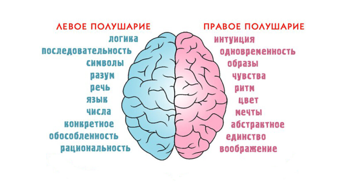 Мозг не обманешь! 