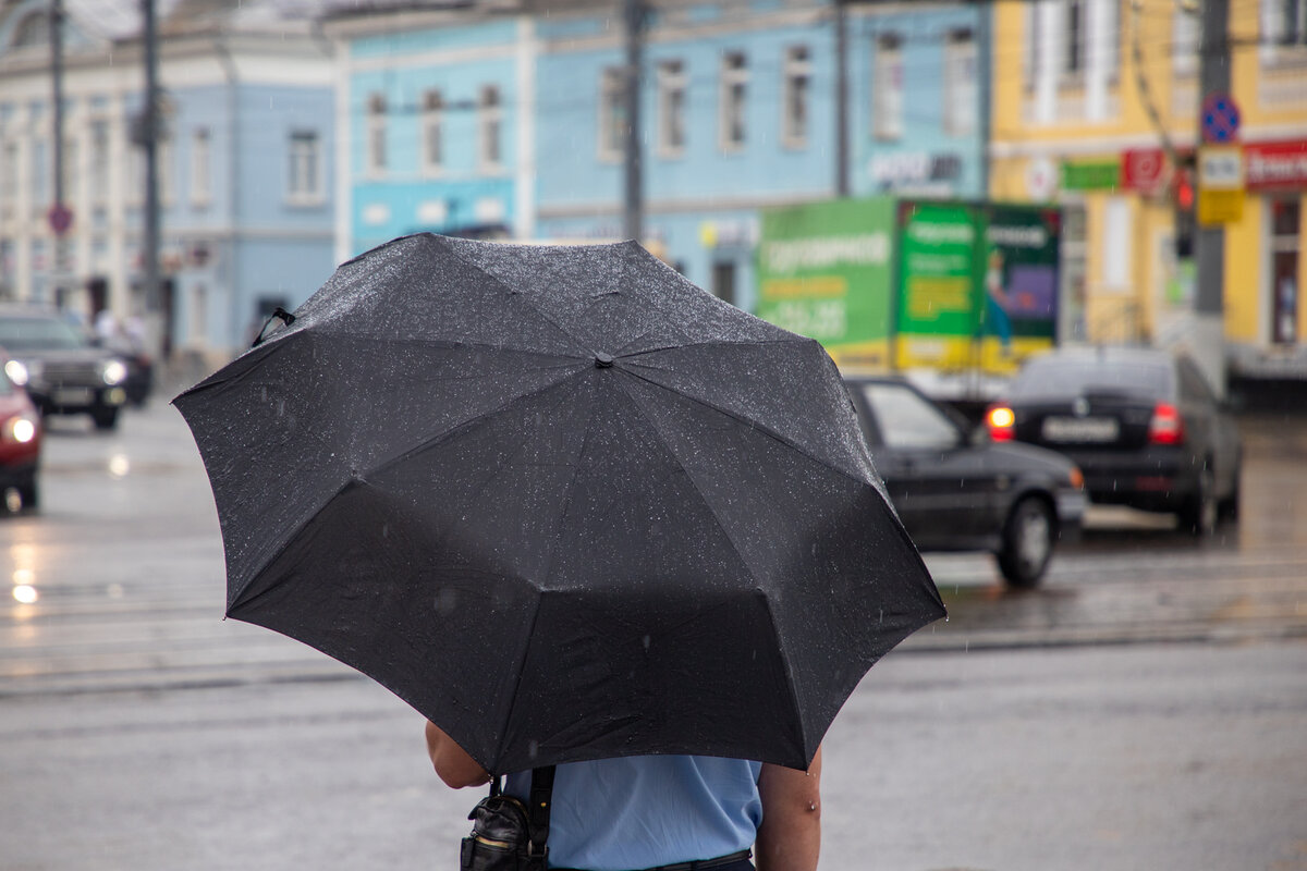 Фото: Тульская служба новостей 