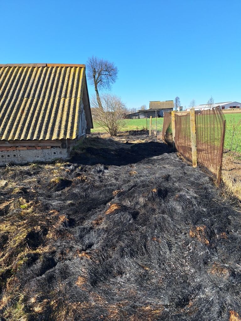 Под Гродно на пожаре погиб человек: обзор огненных происшествий в регионе  за выходные | Новости Гродно s13.ru | Дзен