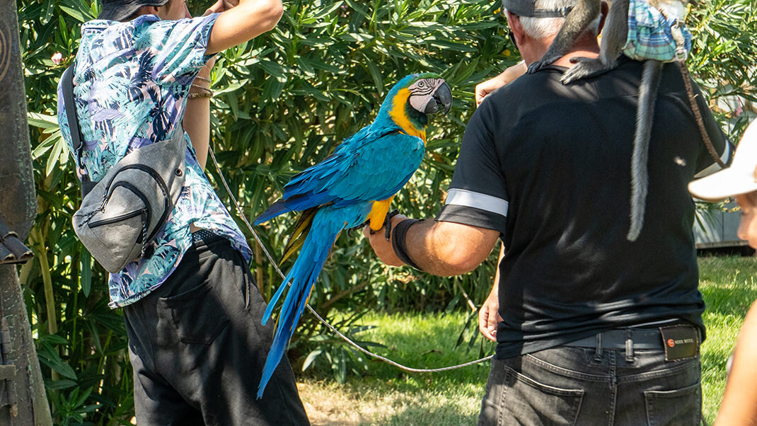 Станция канатной дороге находится в парке Рике