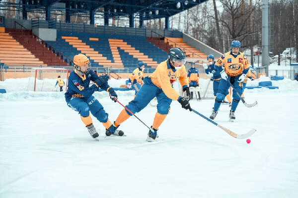    Фото: пресс-служба администрации городского округа Красногорск