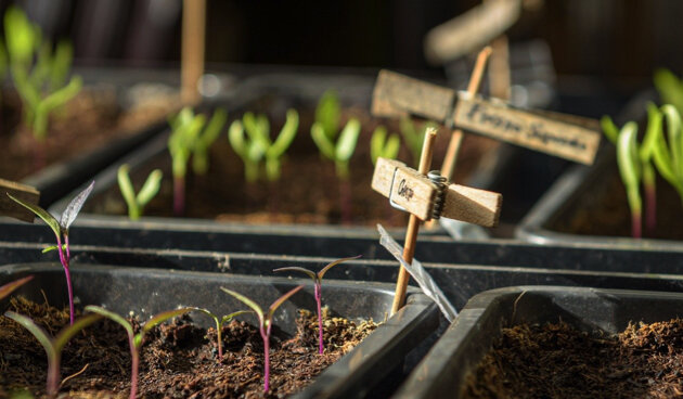 Посадка рассады в 2024г по лунному календарю. Посевной календарь. Посадка рассады в 2024г по лунному календарю. Посадка рассады в 2024г по лунному календарю. Посевной календарь на 2022 год садовода и огородника таблица.