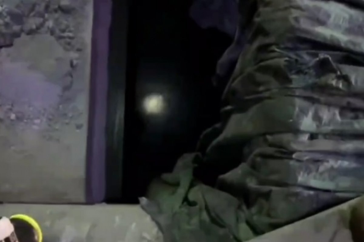    В Приморье спасли косулю, которая провалилась в бункер для руды