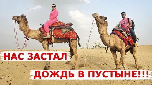 Нас застал дождь в пустыне! Исследуем Настоящий Раджастан!