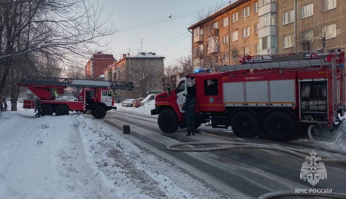 В Новосибирской области за неделю произошло 67 пожаров | НДН.ИНФО | Дзен