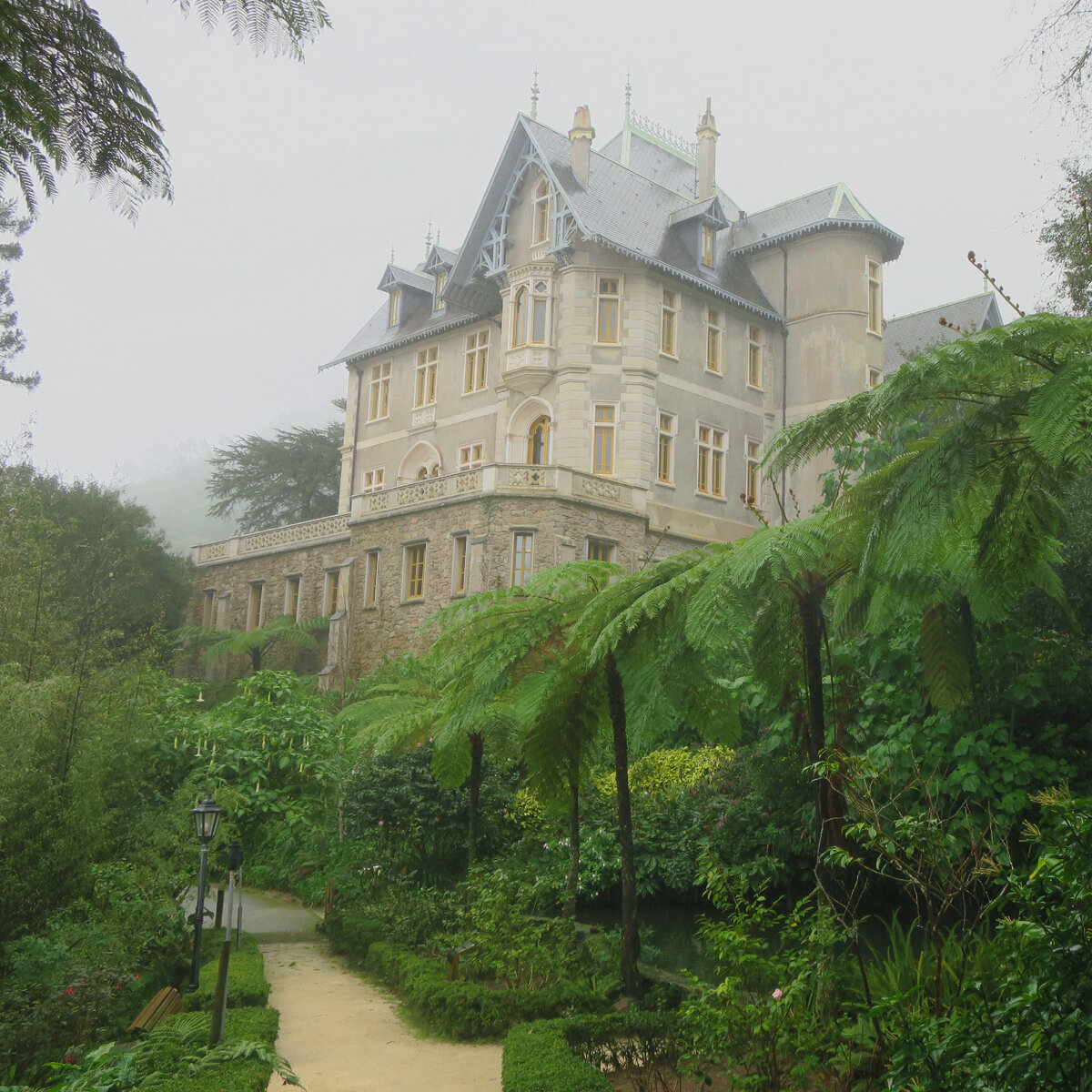 Дворец Бистер в тумане, справа внизу древовидные папоротники