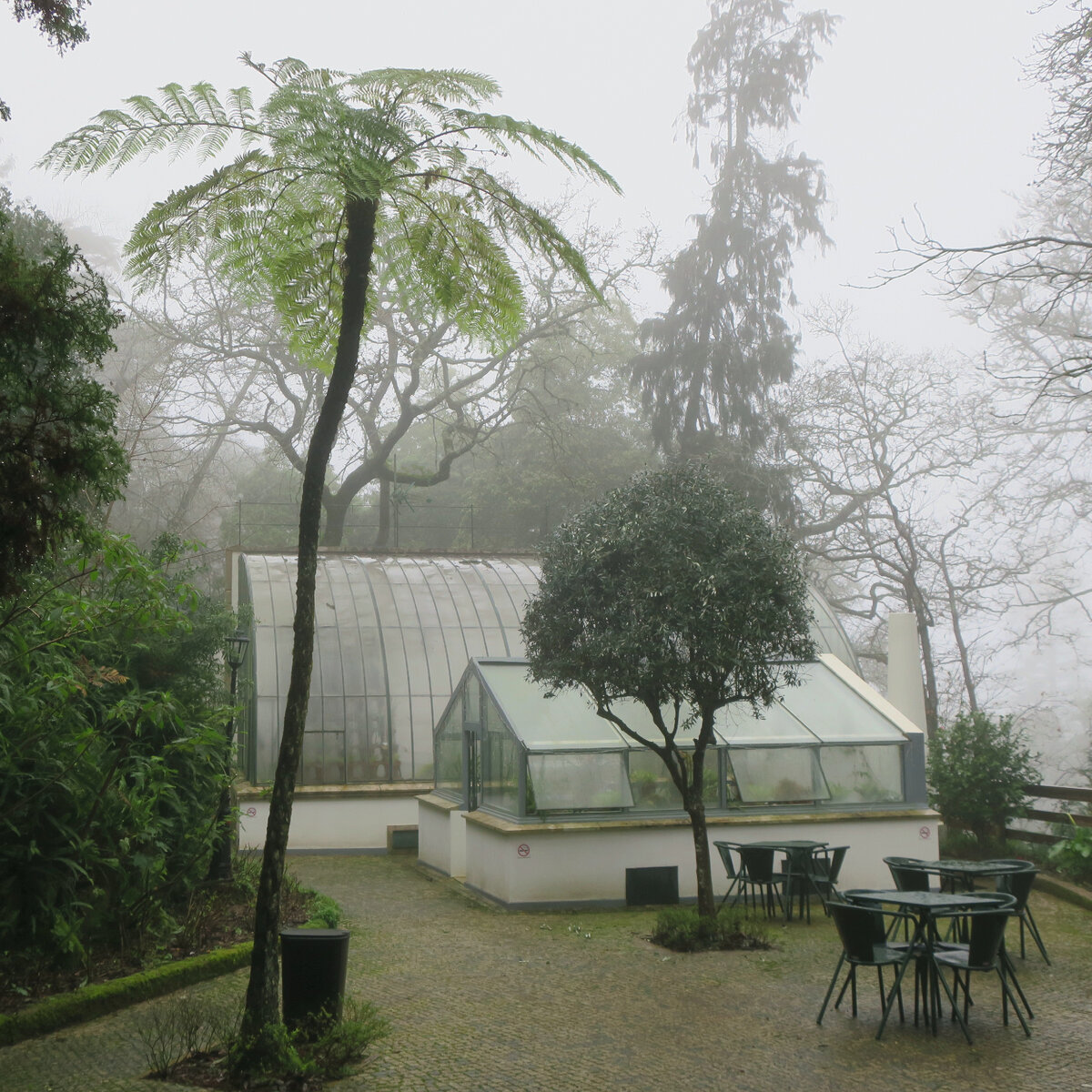 Теплицы в тумане