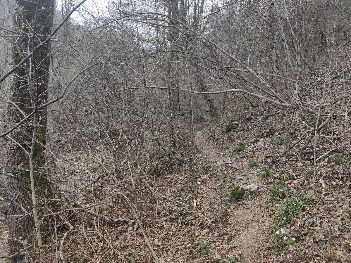 Начало тропы.