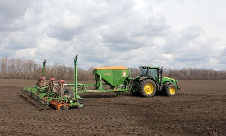    Орловская область в этом году увеличит посевную площадь более чем на 1,3 млн га
