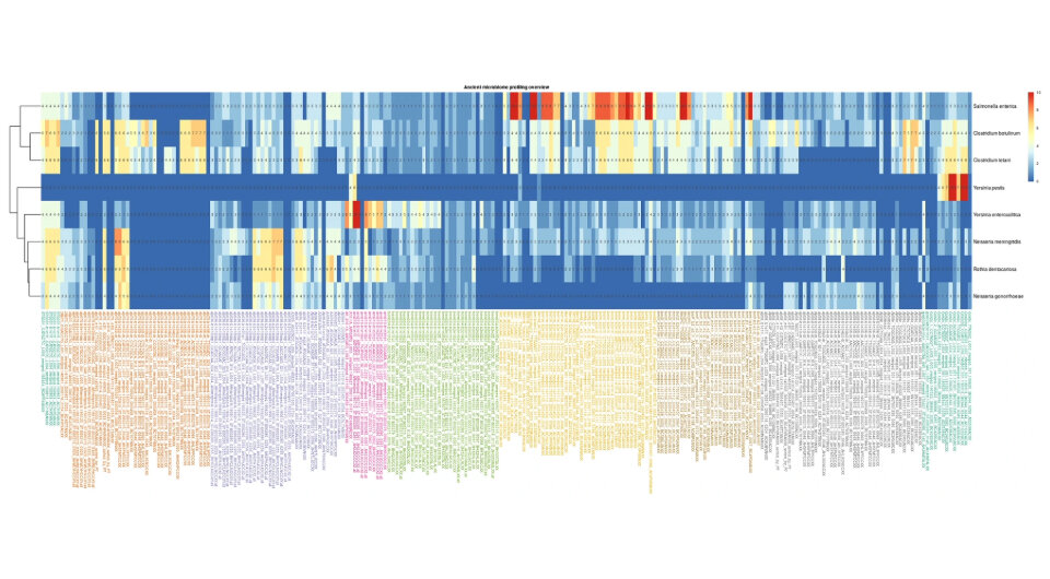   Nora Bergfeldt et al. / Scientific Reports, 2024