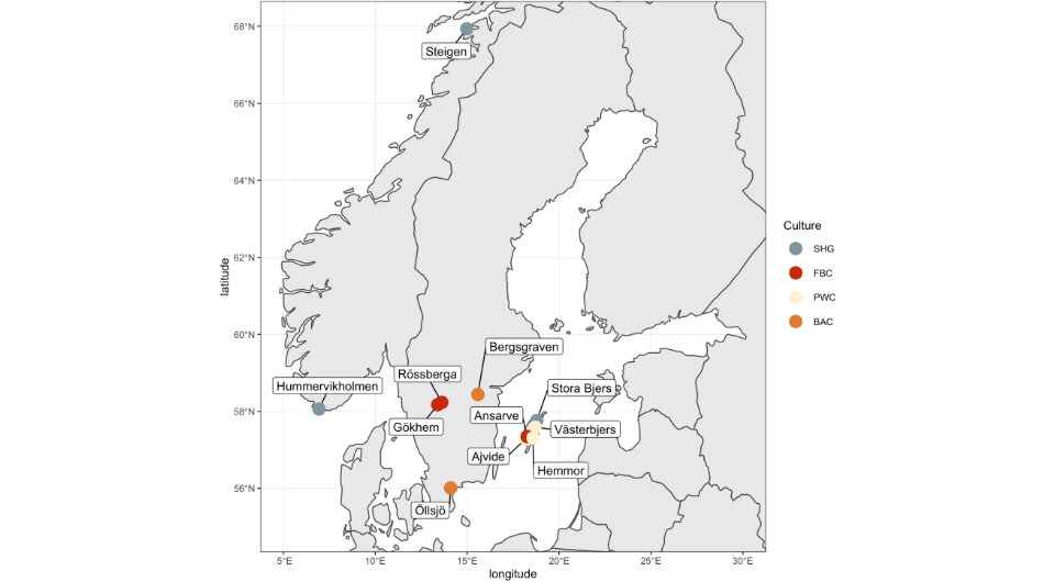   Nora Bergfeldt et al. / Scientific Reports, 2024