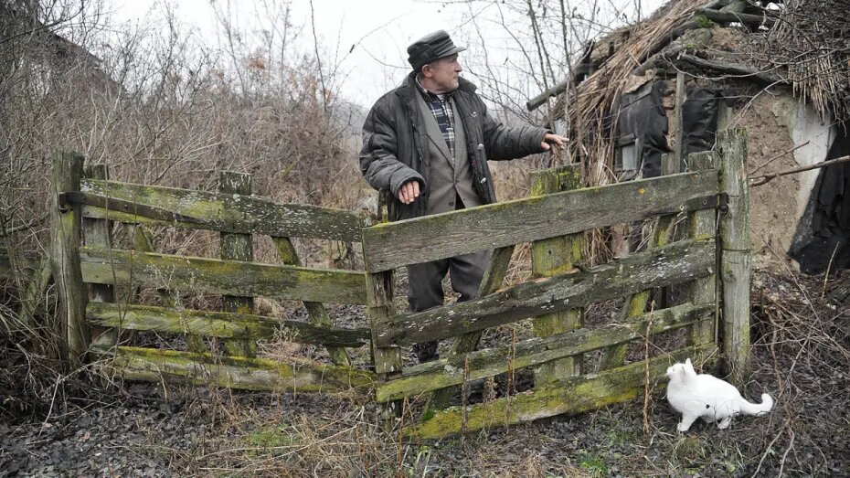    Автор фото: Андрей Архипов