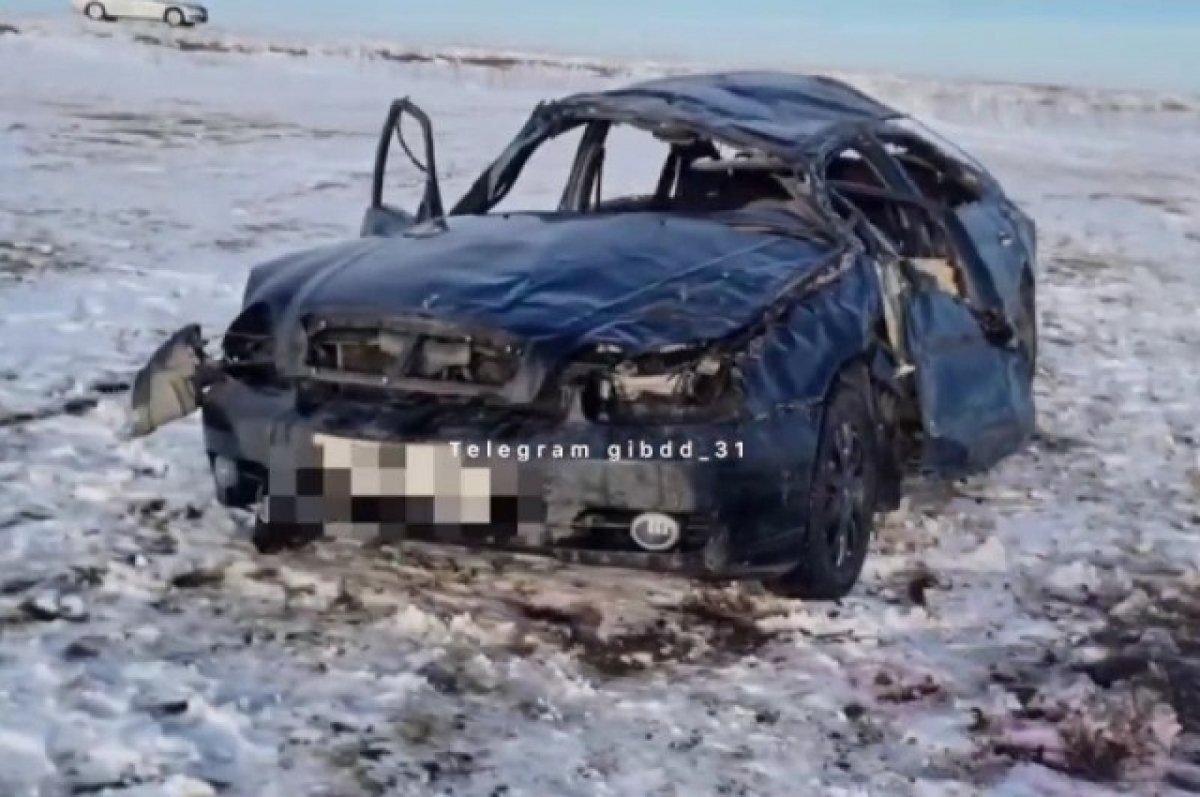 В Белгородской области в ДТП пострадали годовалая и восьмилетняя девочки |  АиФ-Белгород | Дзен