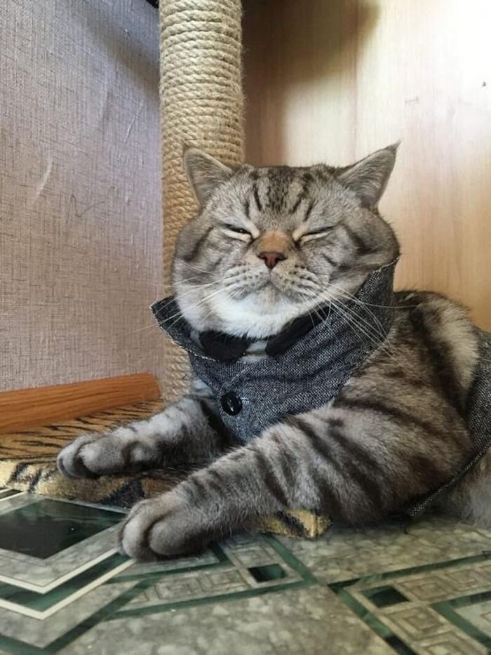 Источник фото: wikimedia / фото для иллюстрации