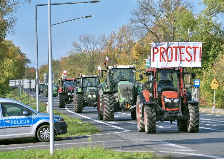 Из открытых источников в интернете. Протесты в Польше.