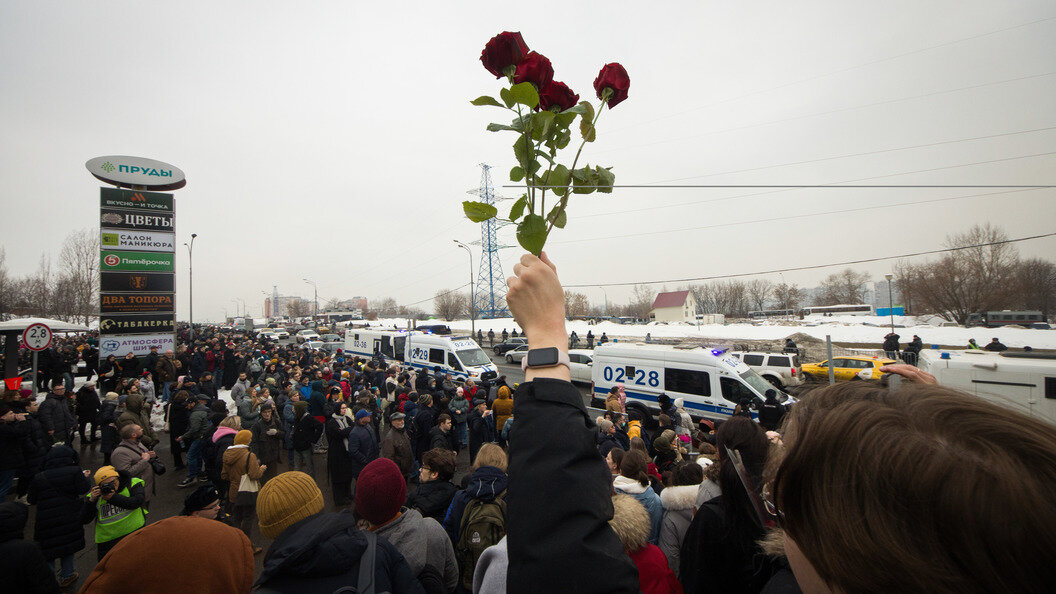    Фото: Artem Priakhin/globallookpress