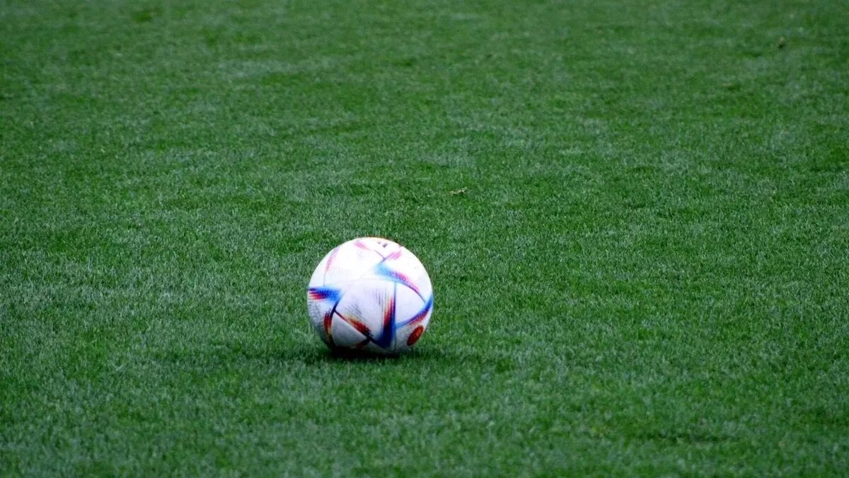     Президент Российского футбольного союза (РФС) Александр Дюков озвучил планы по встрече в Казани команд из России и Китая. Об этом стало известно «Матч ТВ».