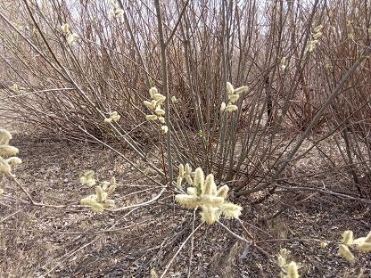 Фотография из личного архива автора