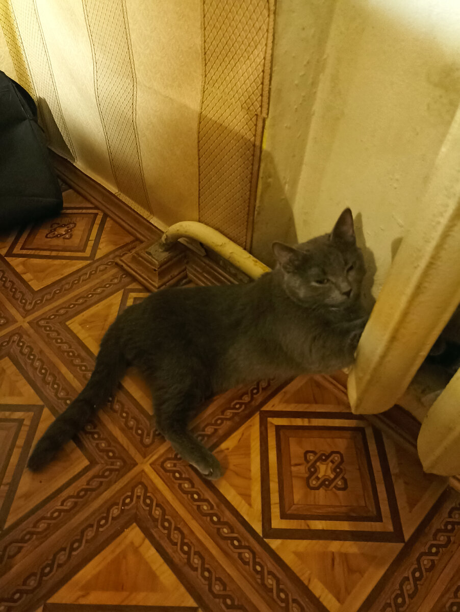 Фото автора