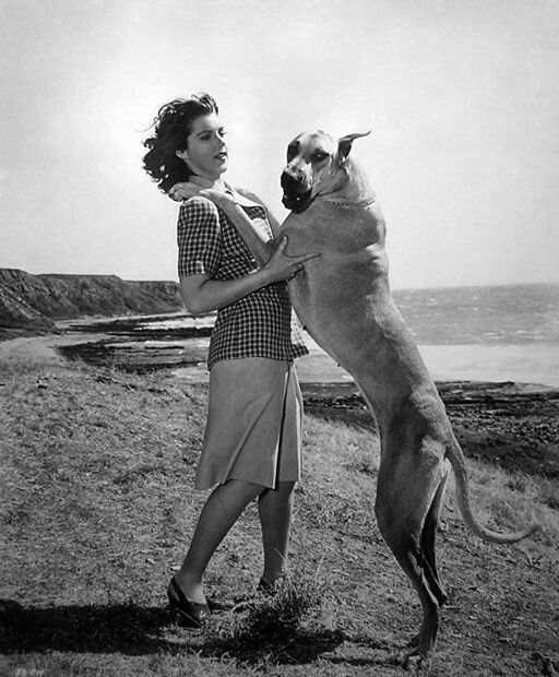 Diana Barrymore. Brought to you in part by Stone ArtUSA.com