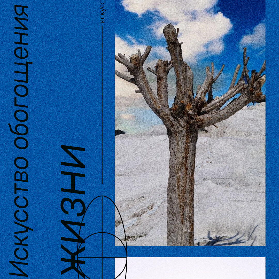 Дерево жизни. Помукали. Турция. Автор фото: Жаров Сергей 