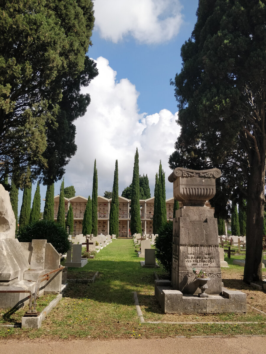 Кипарисы -вечные спутники кладбищ