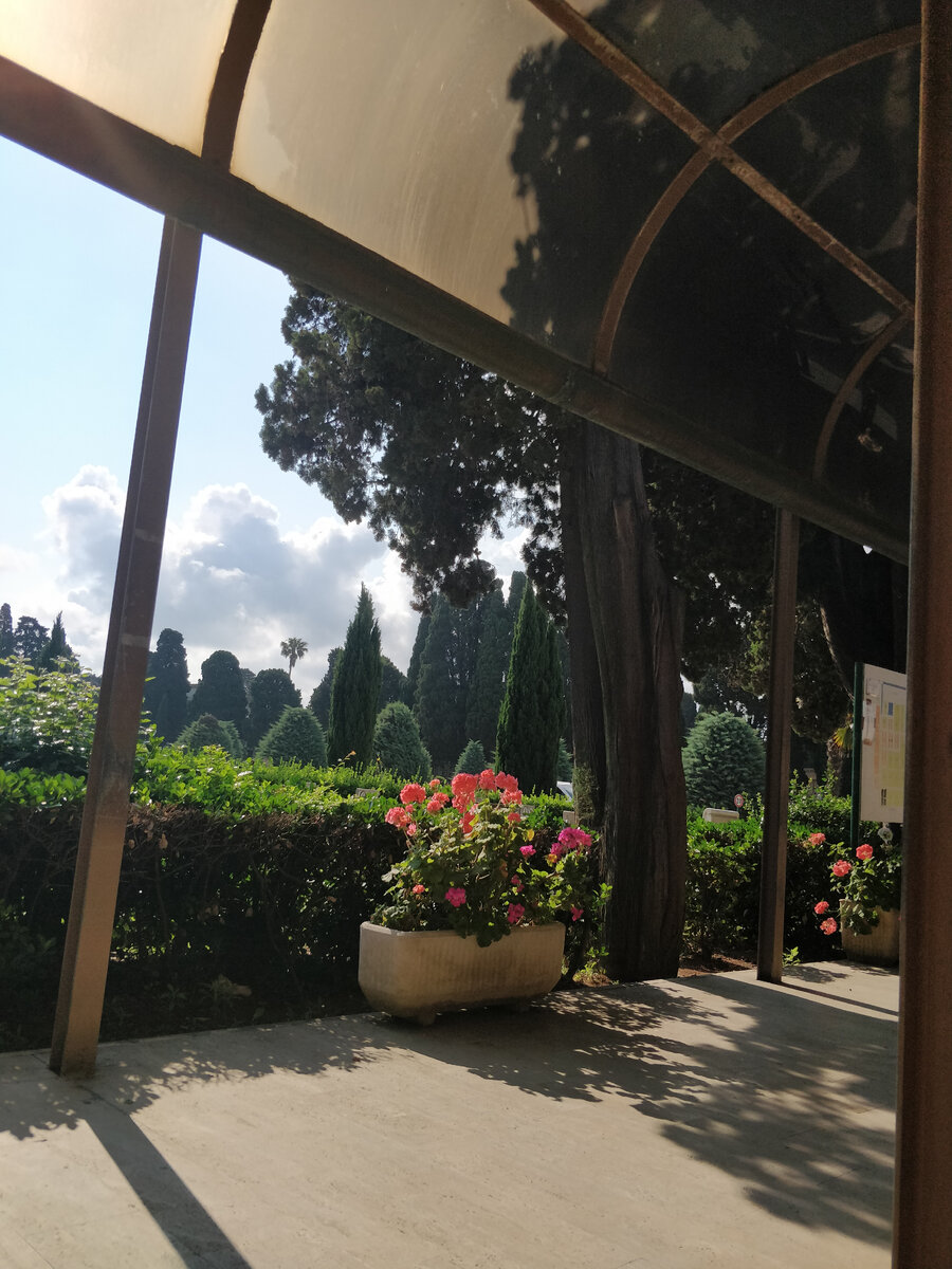 Цветы на дорожках 