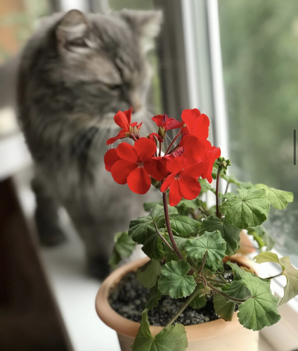 Все фото Автора канала.