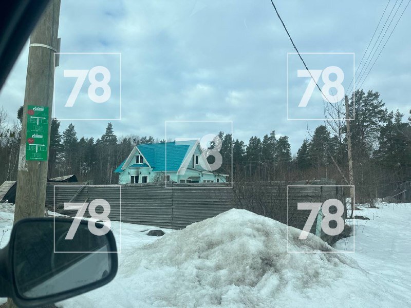 Фото: 78.ru
