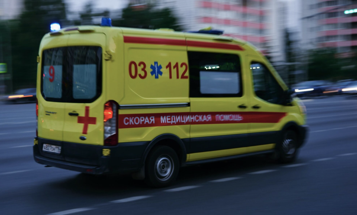 Источник фото: dt.petersburg.ru