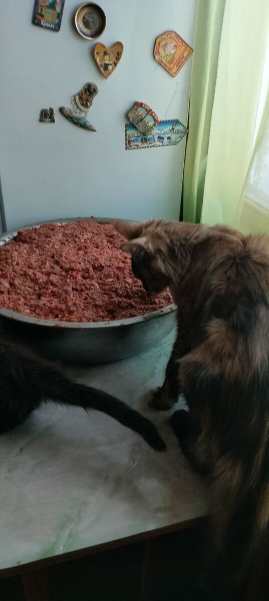 Из большой миски вкуснее)))