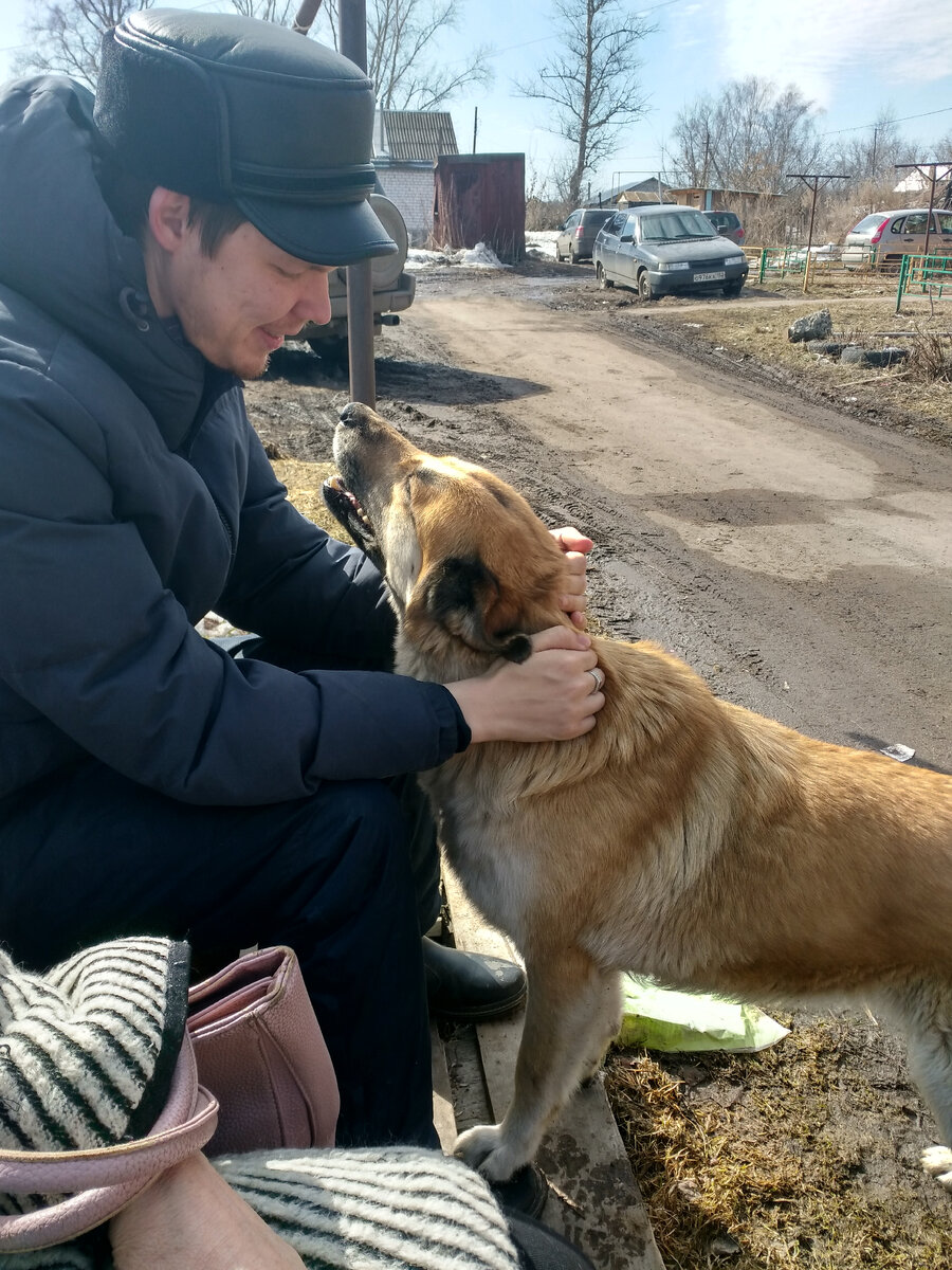 Мой сын с дворовой собакой Найдой