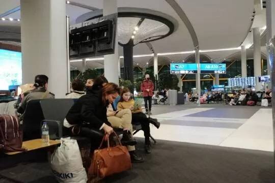    Россиян продолжают массово снимать с рейсов Turkish Airlines