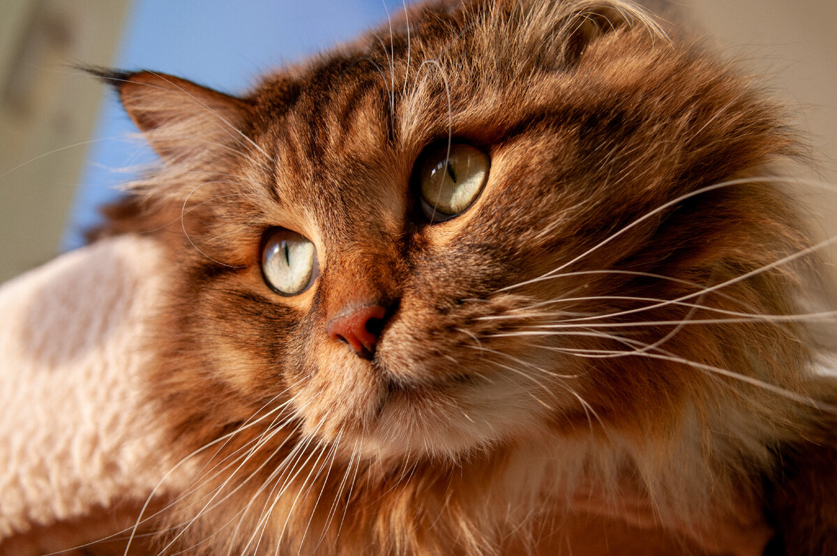 Фото: Svetlana Vozmilova/Global Look Press