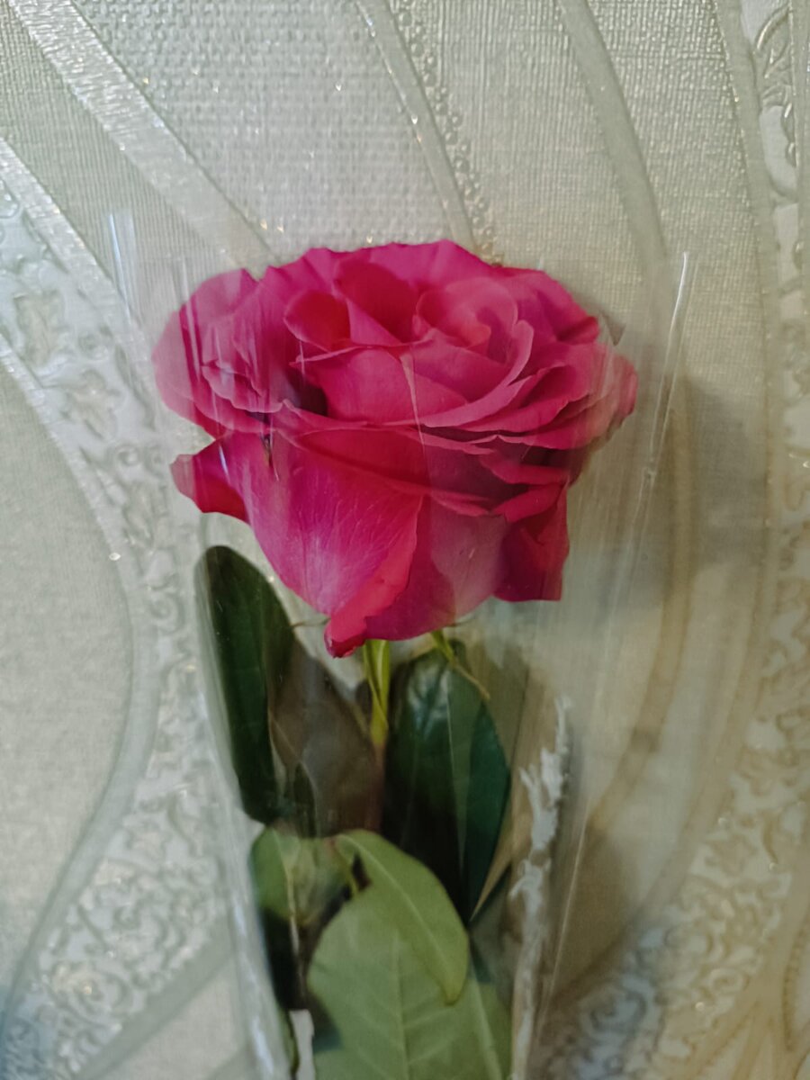 Я даже воду ещё ни разу с 7-го числа не меняла 😀