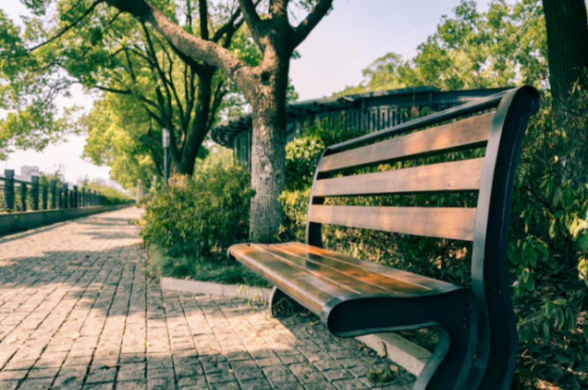    Гусев предложил воронежцам выбрать зону для благоустройства