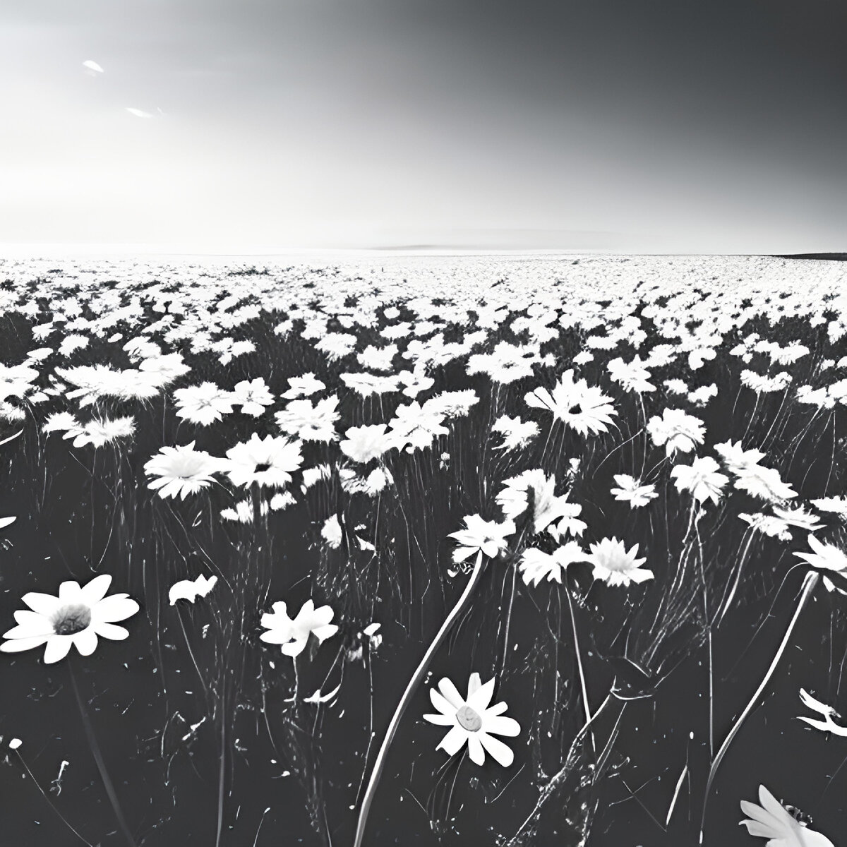 FAAMA - 2024 - Ты всё ещё здесь