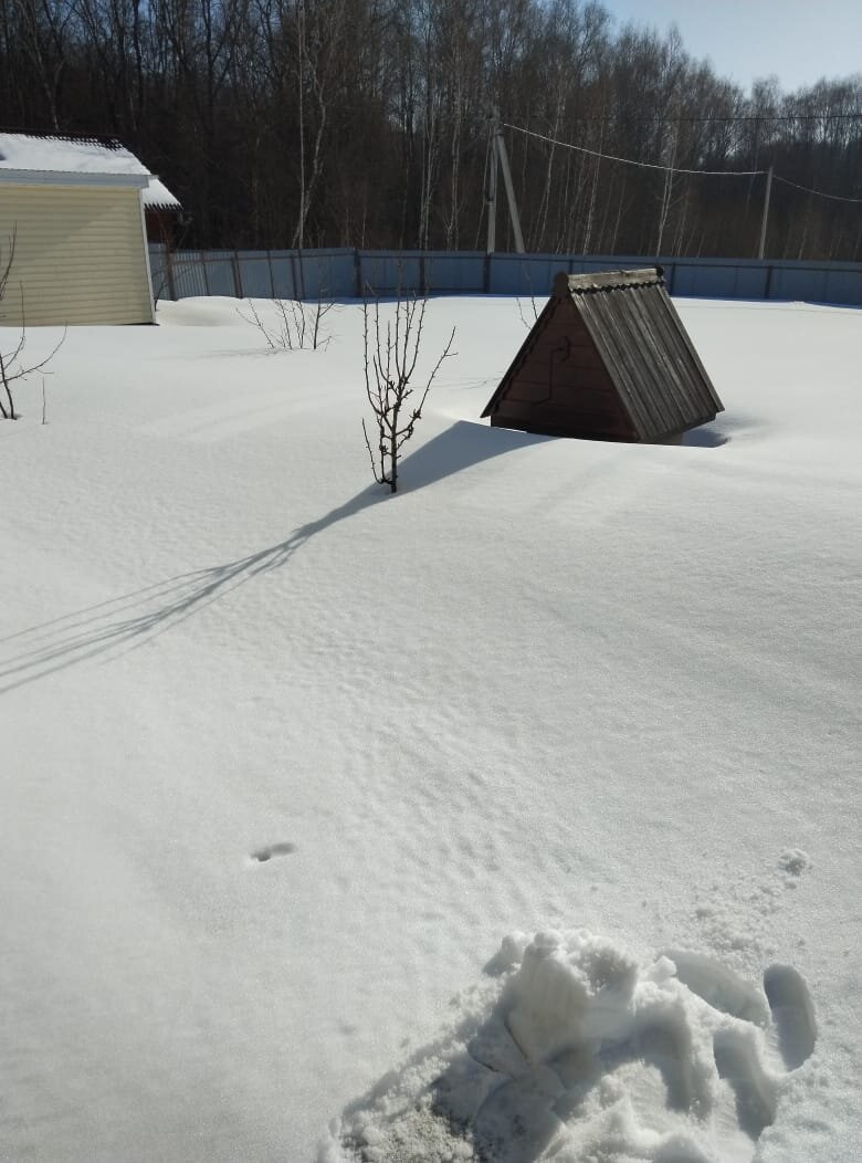 Колодец наполовину "утонул"