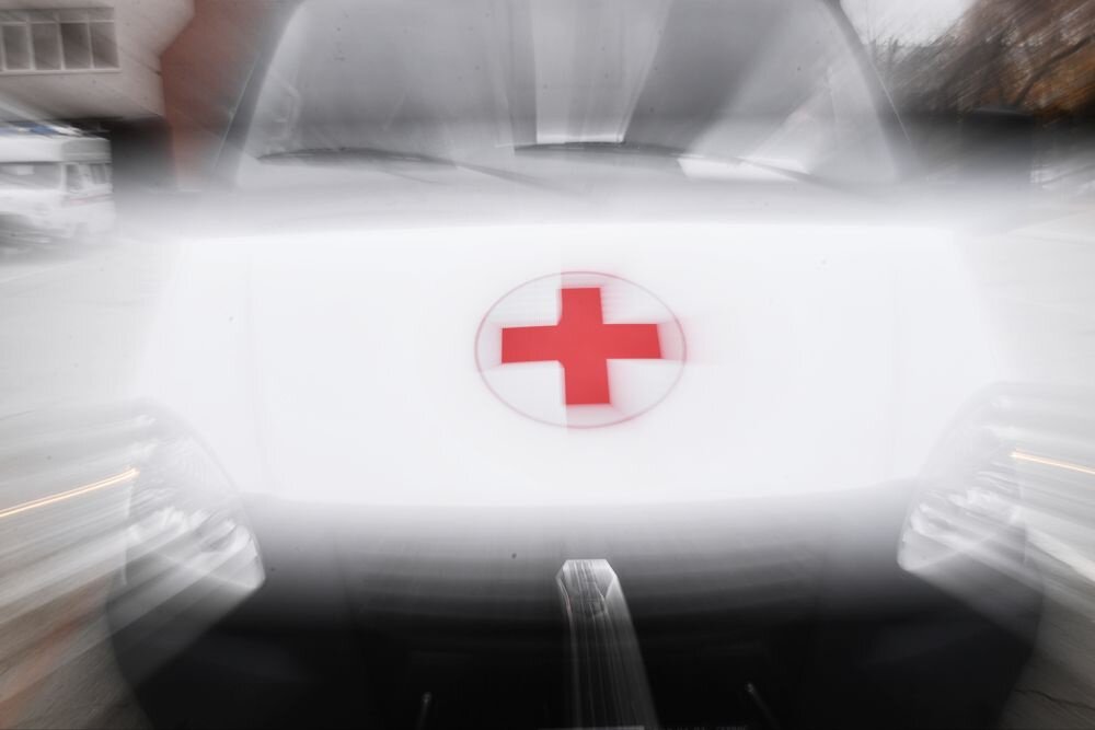    Павел Лисицын/ РИА Новости