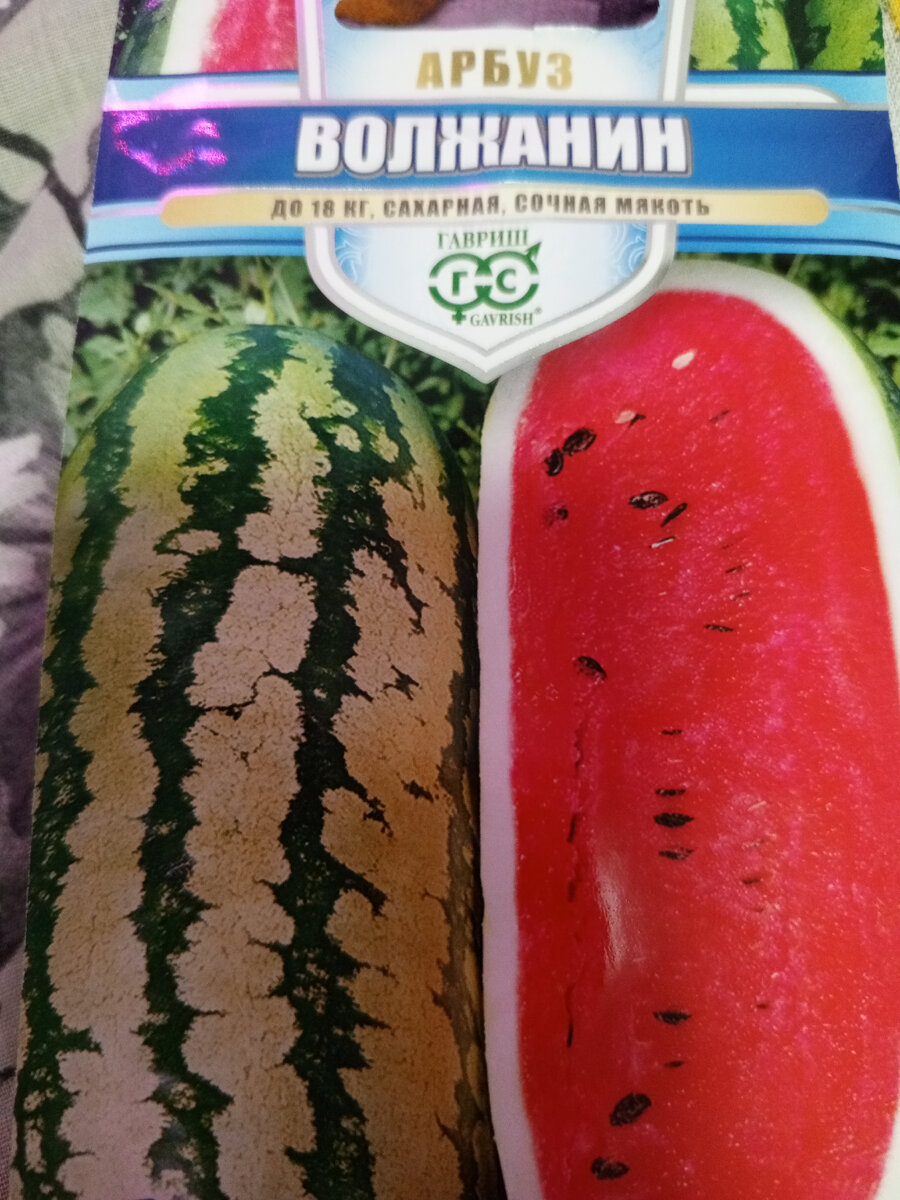 один арбуз на 2 кг. два арбуза. килограмм арбуза. один арбуз на 2 кг. арбуз 5 кг.