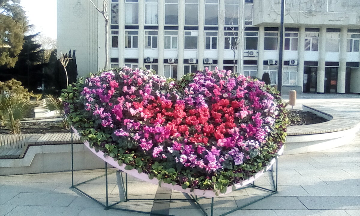 Фотозона. Фото автора.