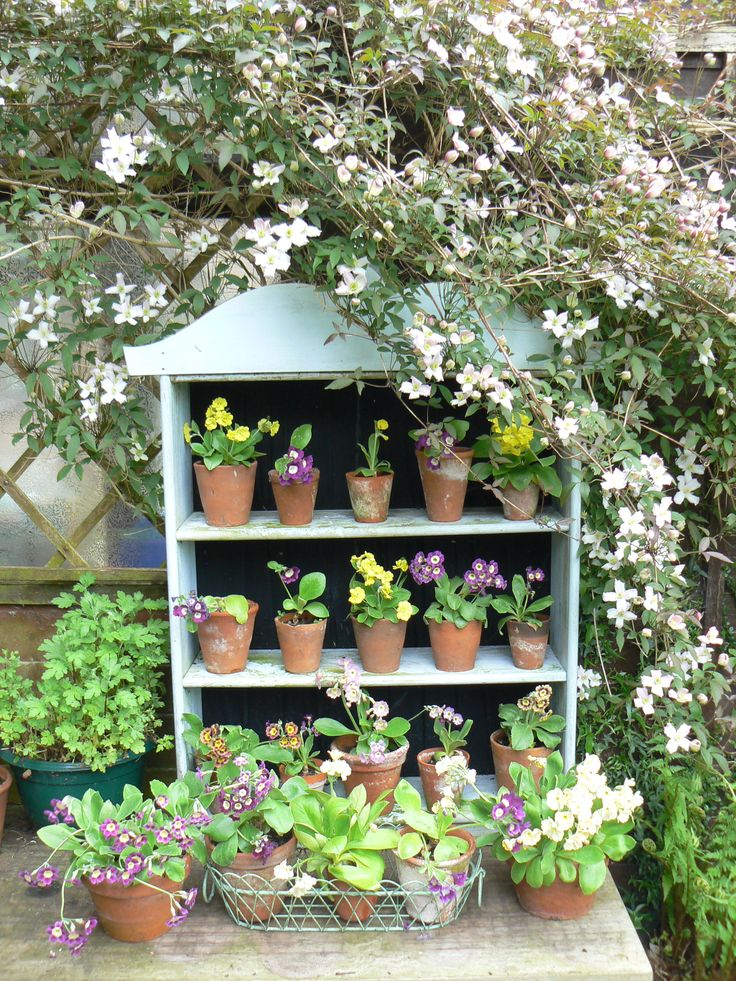 Нежная идея для оформления уголка в саду, но нужно иметь ввиду, что зимовать растения в средней полосе так не будут