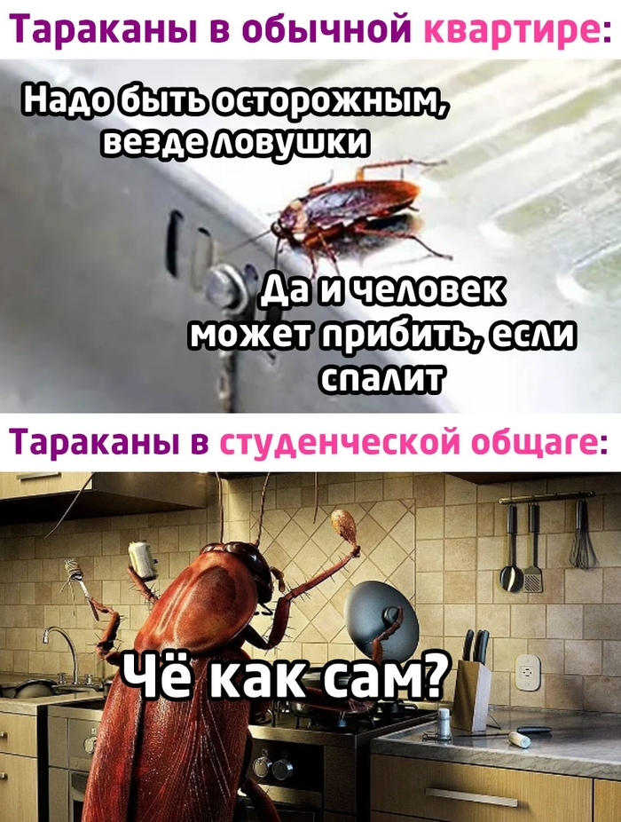 Кухня в общежитии