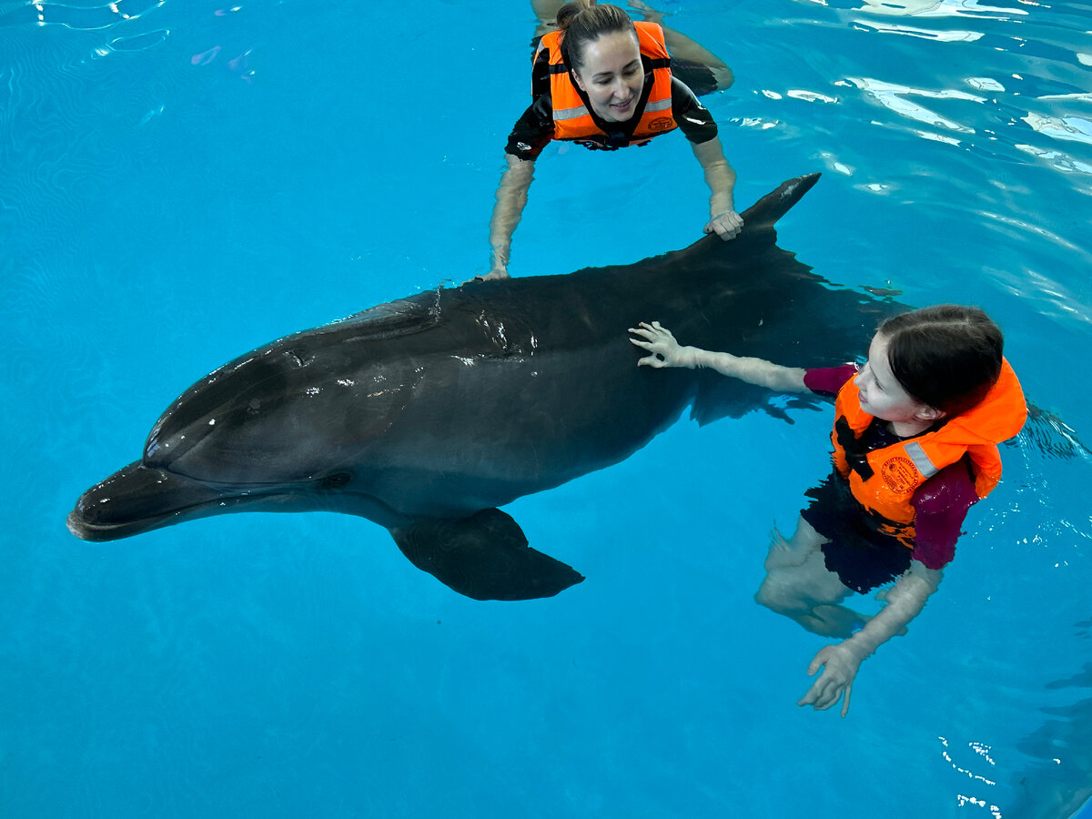 отель "Dolphin Planet", Океанариум