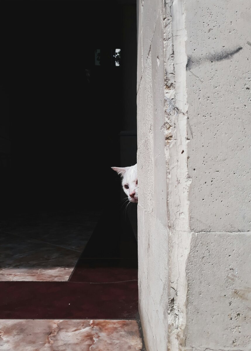    Unsplash