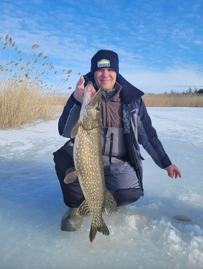 Щука на жерлицу