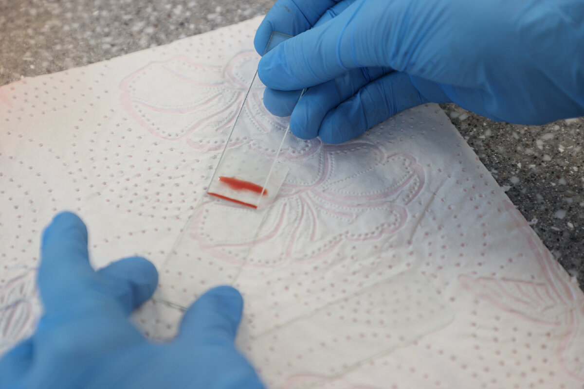 Фото: Artem Sobolev/news.ru