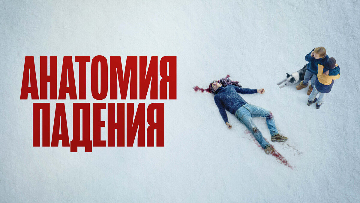 Постер к фильму "Анатомия падения"
