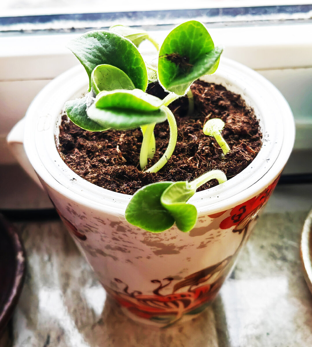 Фото из личного архива 